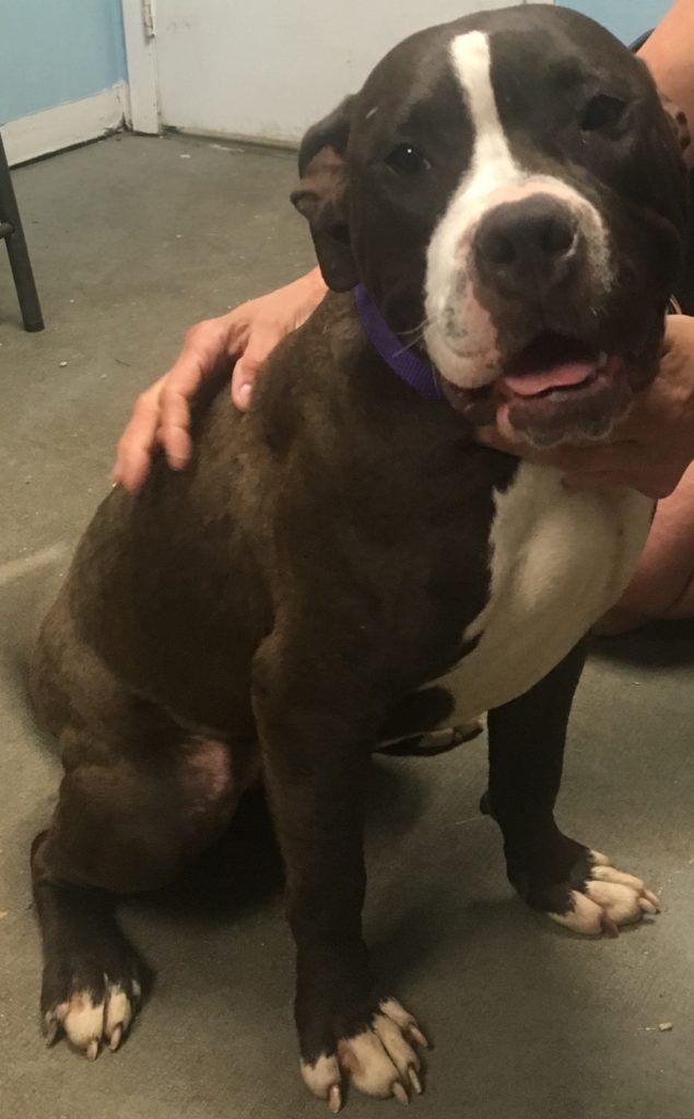 gizelle e1534519553653