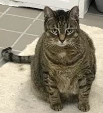 lenore e1534520577175