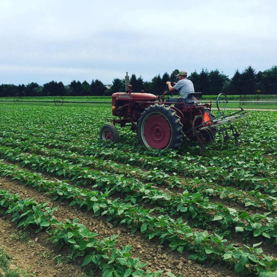 State Extends Real Property Tax Exemption On Farm Buildings