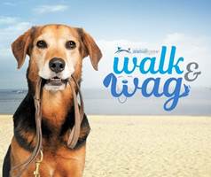 Walk and Wag