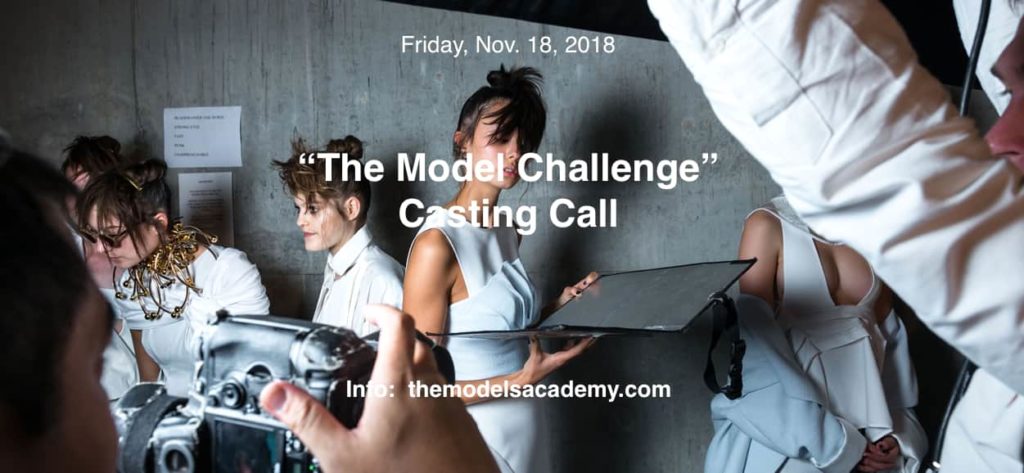 The Model Challenge