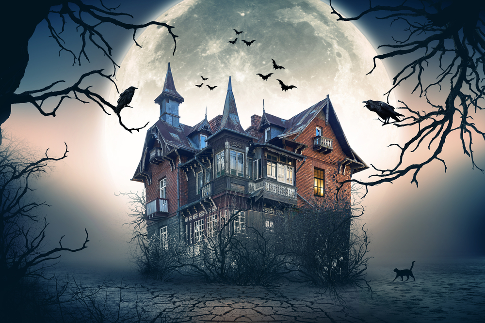 Image result for spooky house