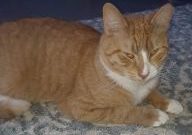 rusty e1542319712881