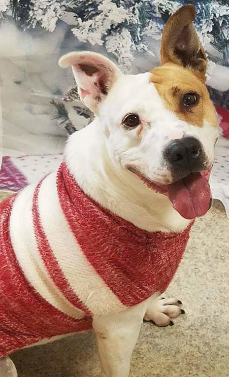 brenda e1544724844180