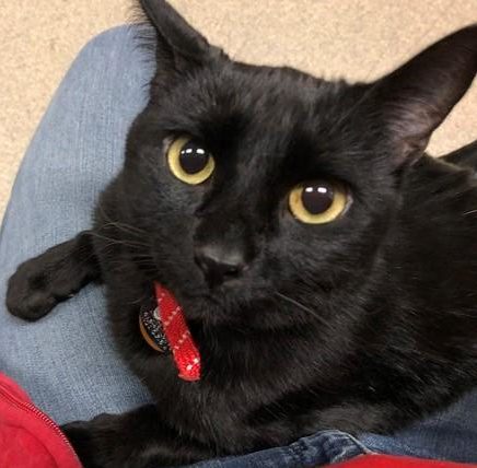 della e1545324111702