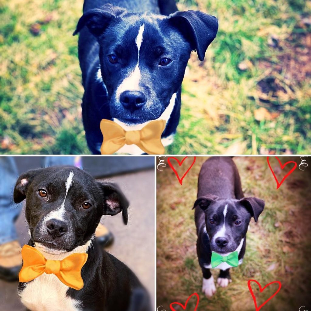 Tux