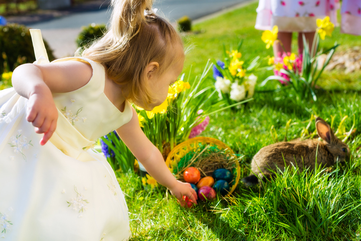 Children on an Easter egg hunt with flowers and a rabbit