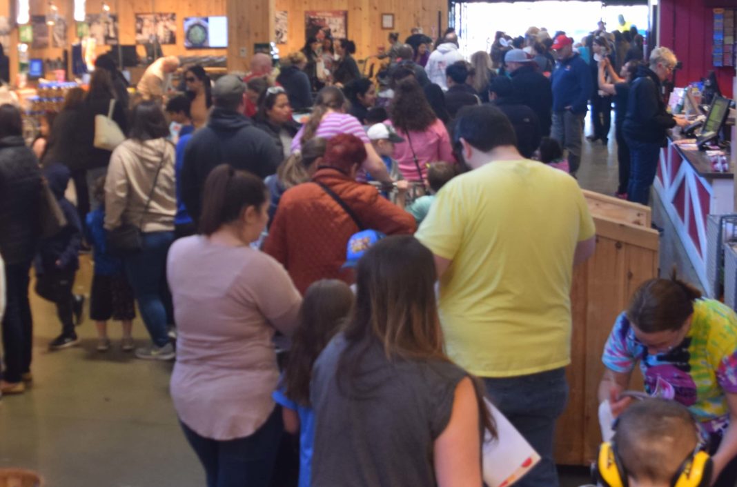 Kids Pack Stew Leonard’s For Unique Egg Hunt