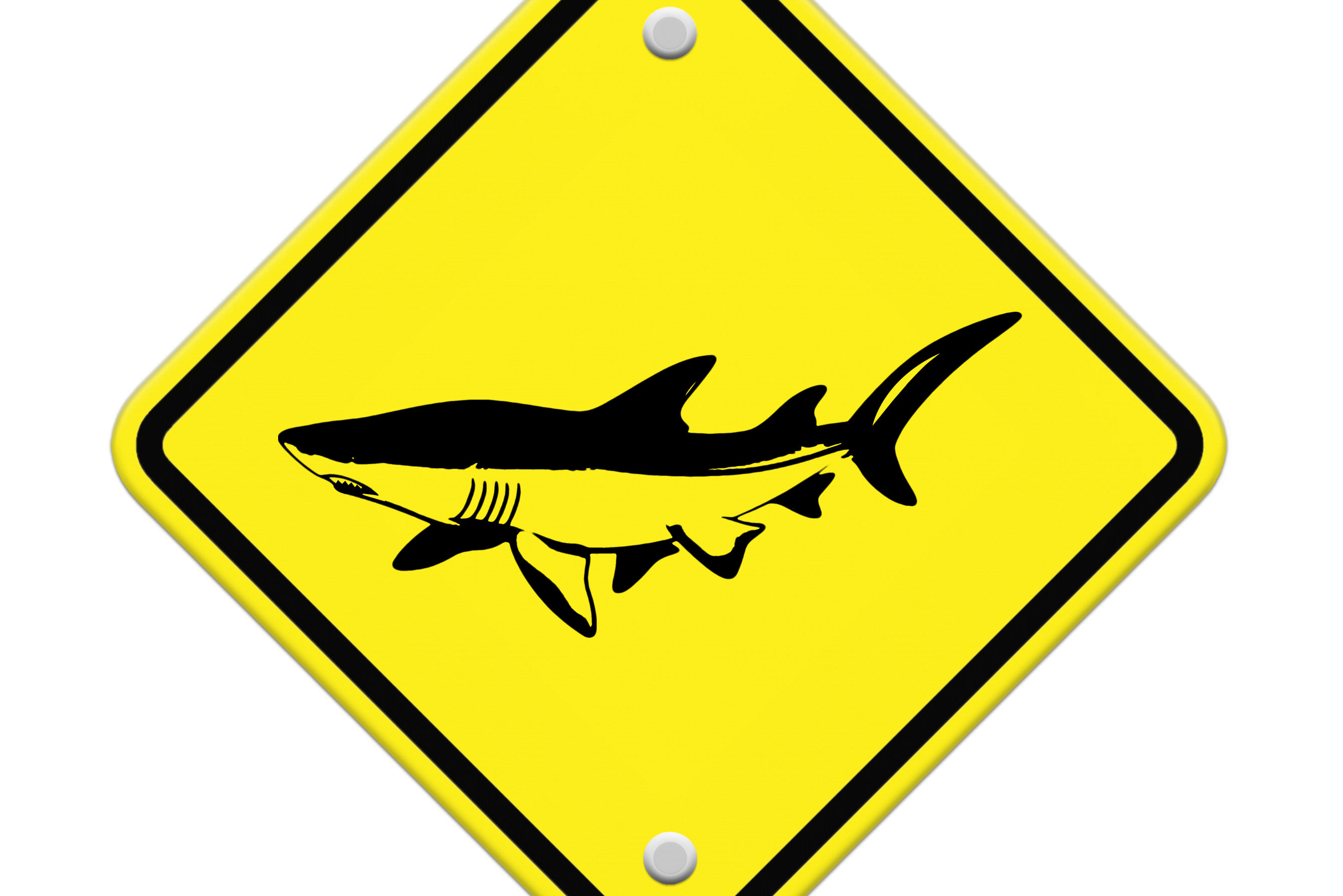 Shark sighting sign, Beach Closed