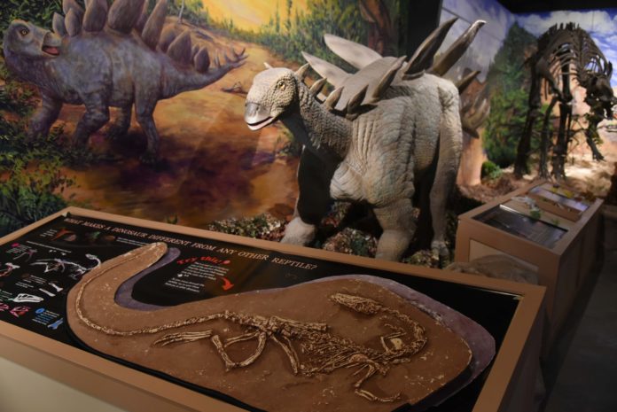 overpeck dinosaur exhibit
