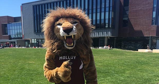 MolloyCollegeVictorE.Lion