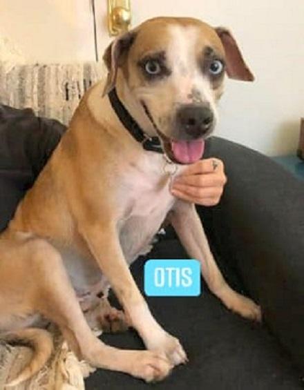 otis