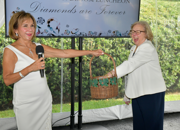 webp.net resizeimage 2019 10 21t180204.926