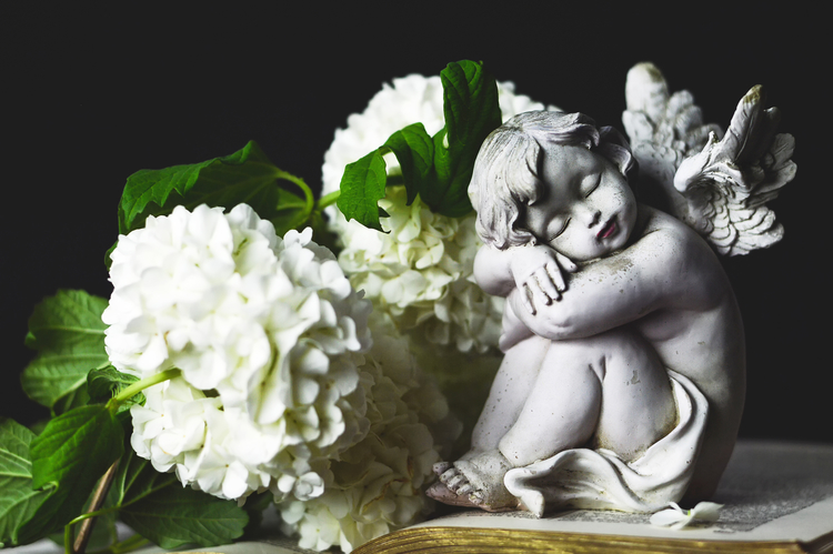 Angel and white flowers on dark background