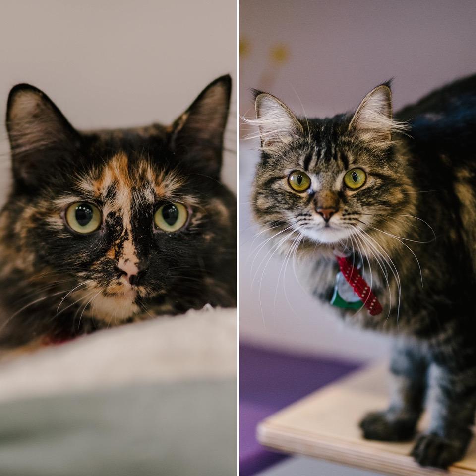 09344250 3854 4d7a ab1a 295d2d78bd88