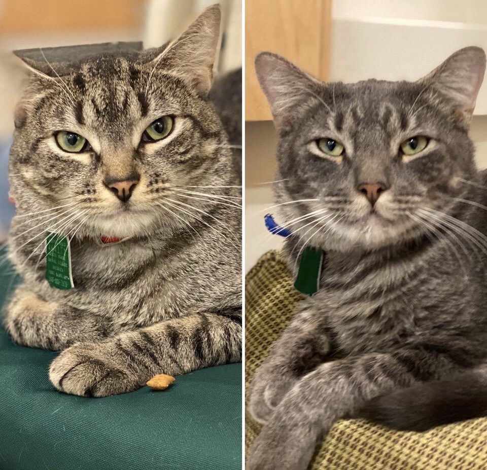 7a92744d 9580 48c3 a7f2 340d7af77379