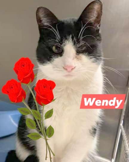 Wendy 1