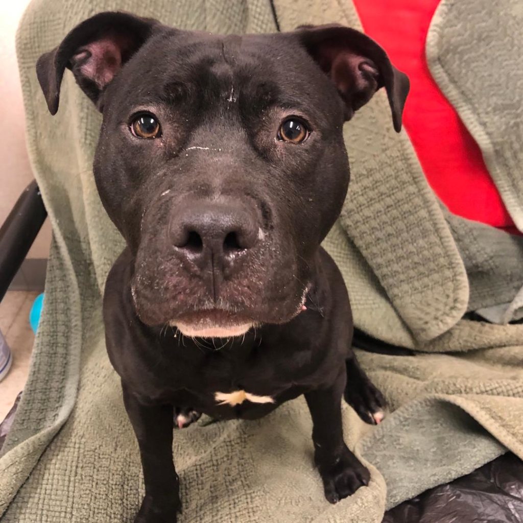 bb8054e2 b4fb 4aeb 87ec 9e359bdf09bc