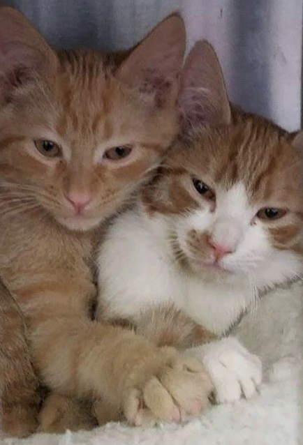 dde97bb0 17fa 4beb 9b51 a01003101d25