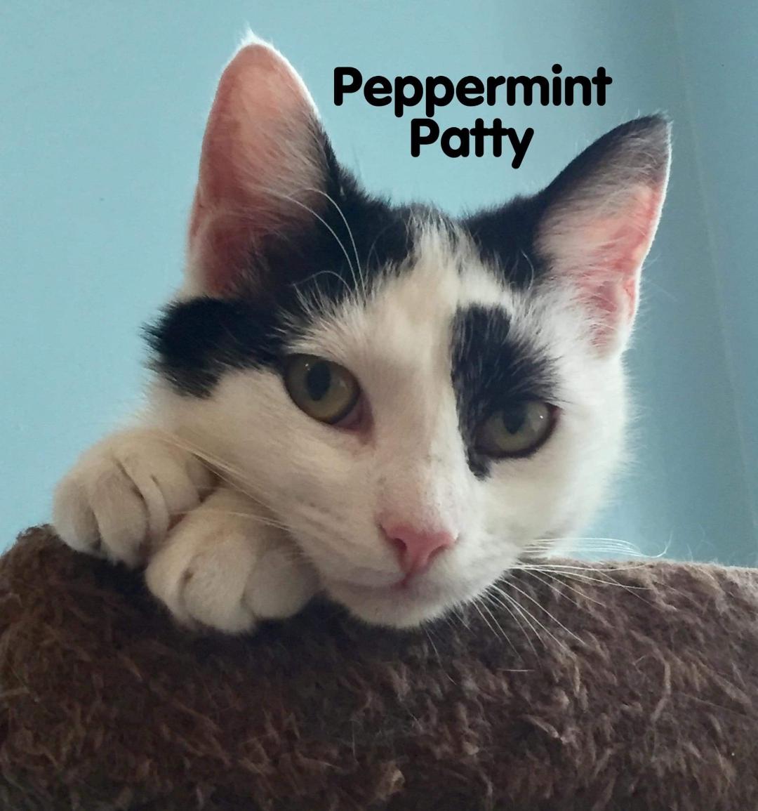 pepperment patty
