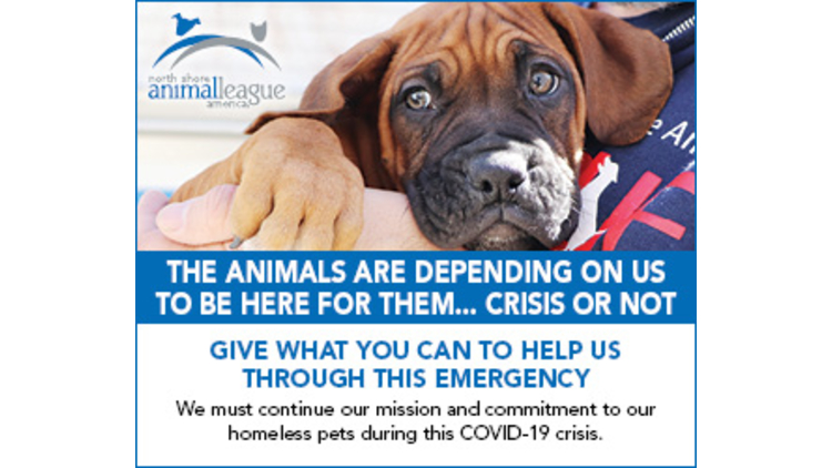 covid19-donate-plea-300×250