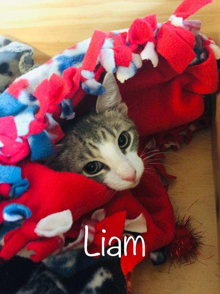 Liam