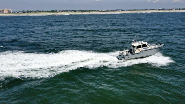 shark patrols