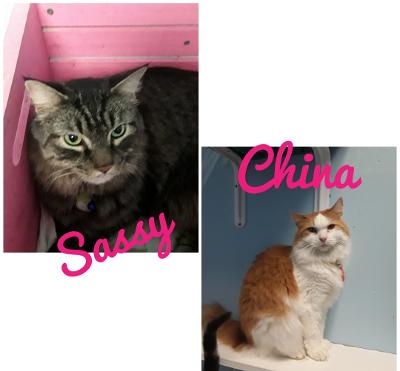 Sassy and China