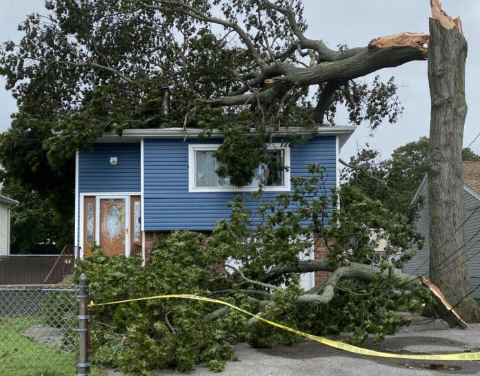 b28f0ba1 db90 4019 a838 f1aea7c3c35b