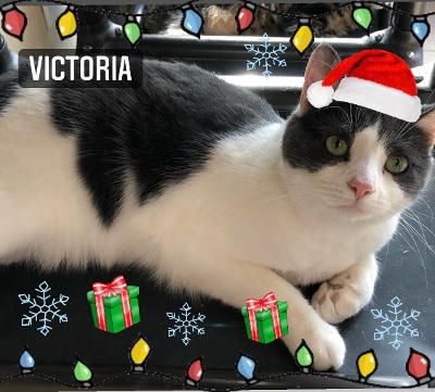 Victoria