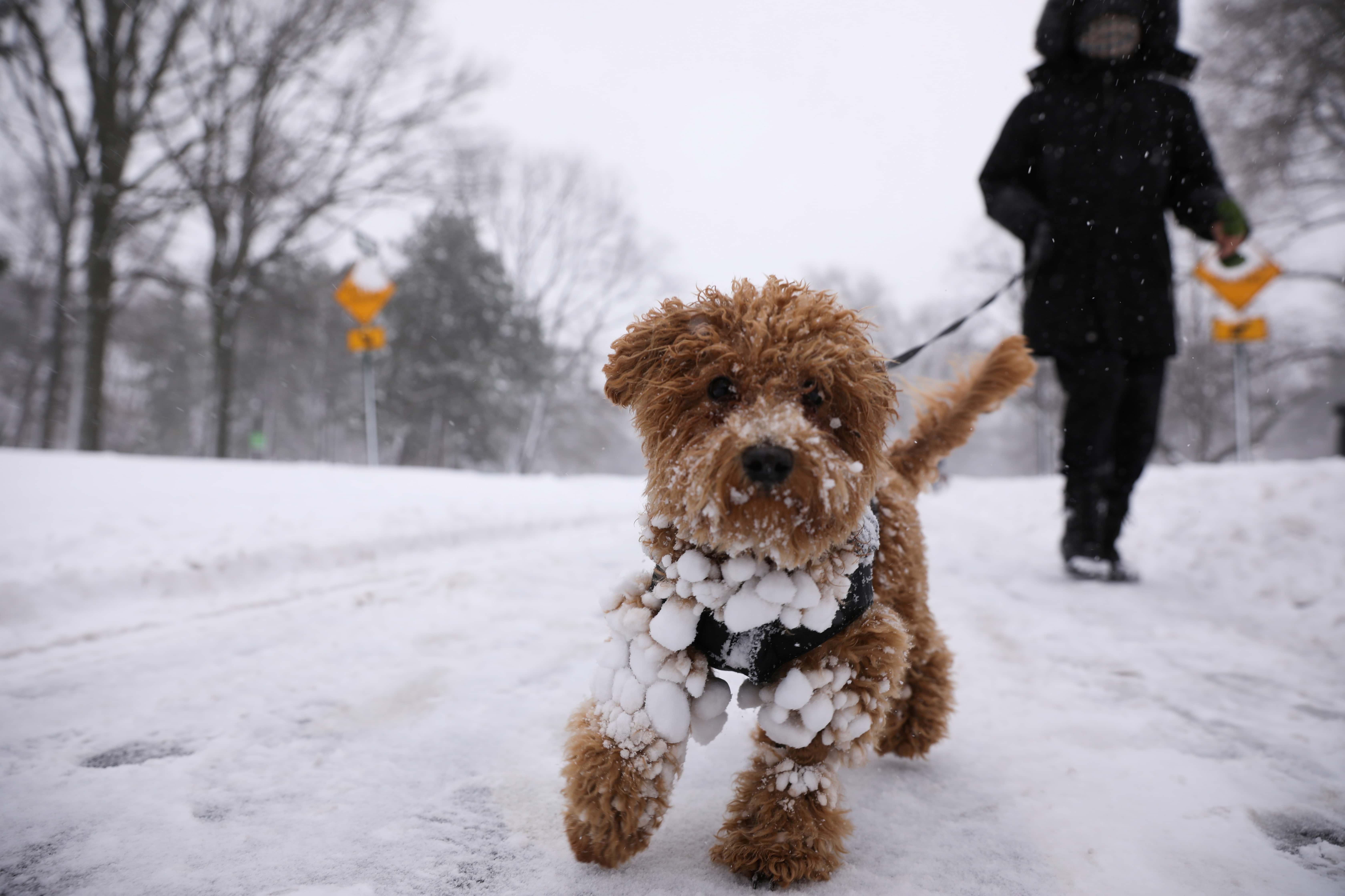 Nor Easter Dumps More Than A Foot Of Snow On Long Island