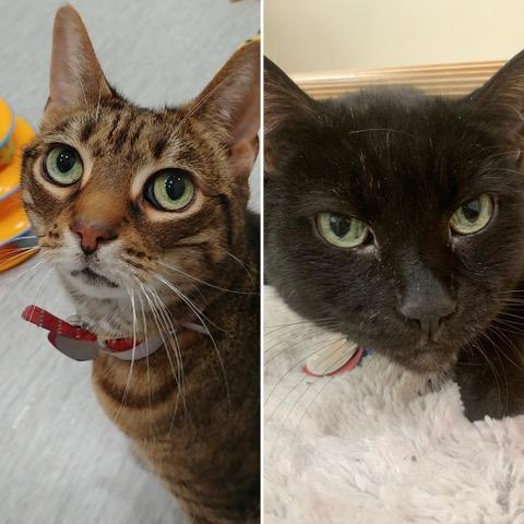Tiger Lily and Jack