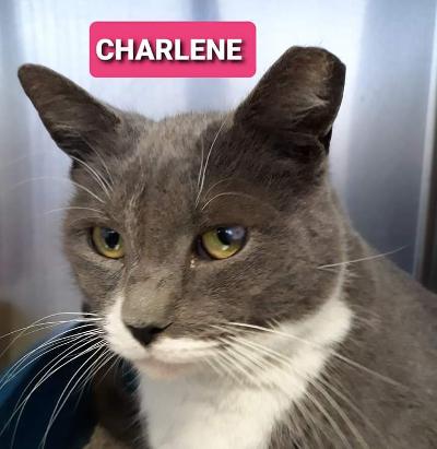 Charlene