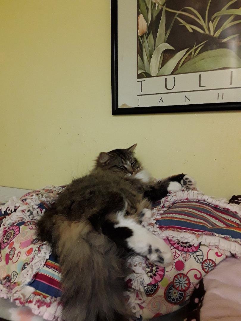 Fluffy