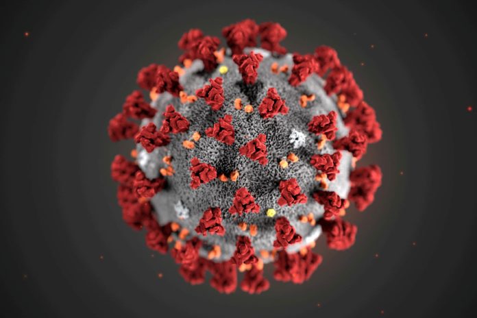 2021-03-17T195212Z_1_LYNXMPEH2G1N1_RTROPTP_4_CHINA-HEALTH-USA (1) virus variants