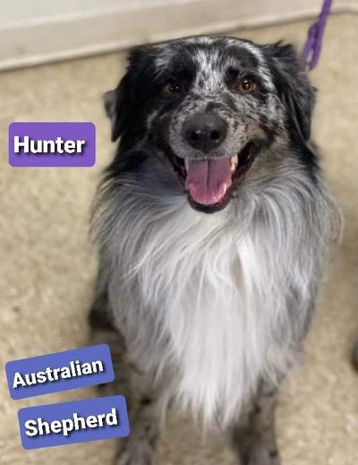 Hunter