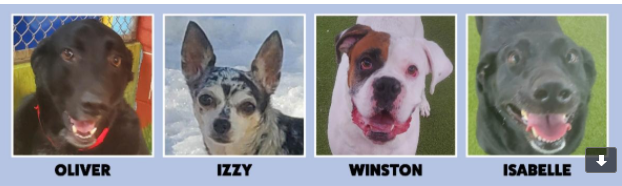 Oliver Izzy Winston Isabelle