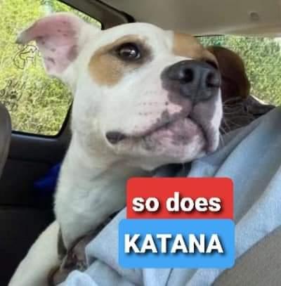 Katana