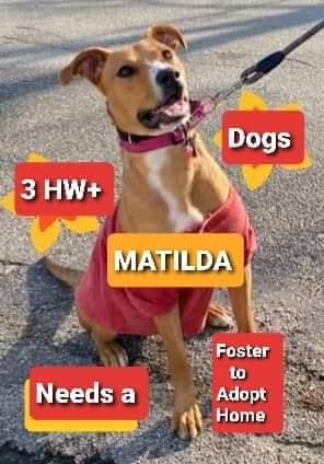Matilda