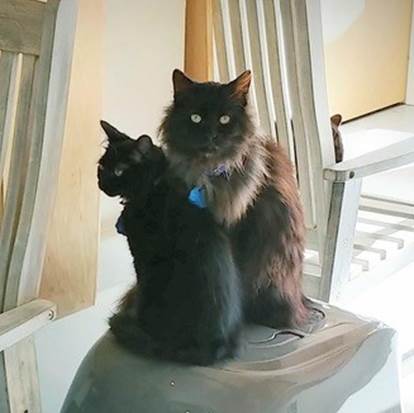 Seymour and Viveca