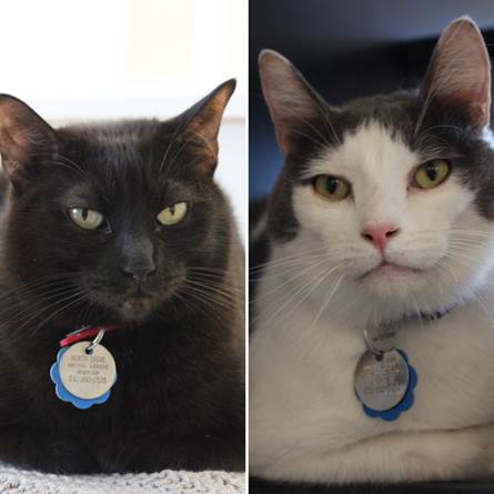 Tabitha and Toby
