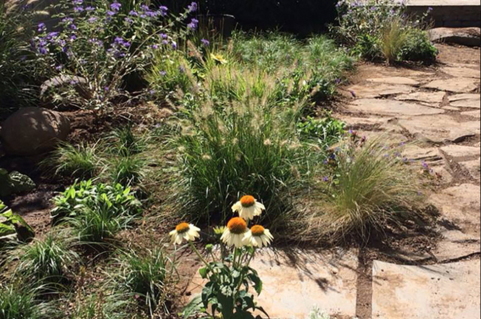home pros landscaper credit 12 gardens 02