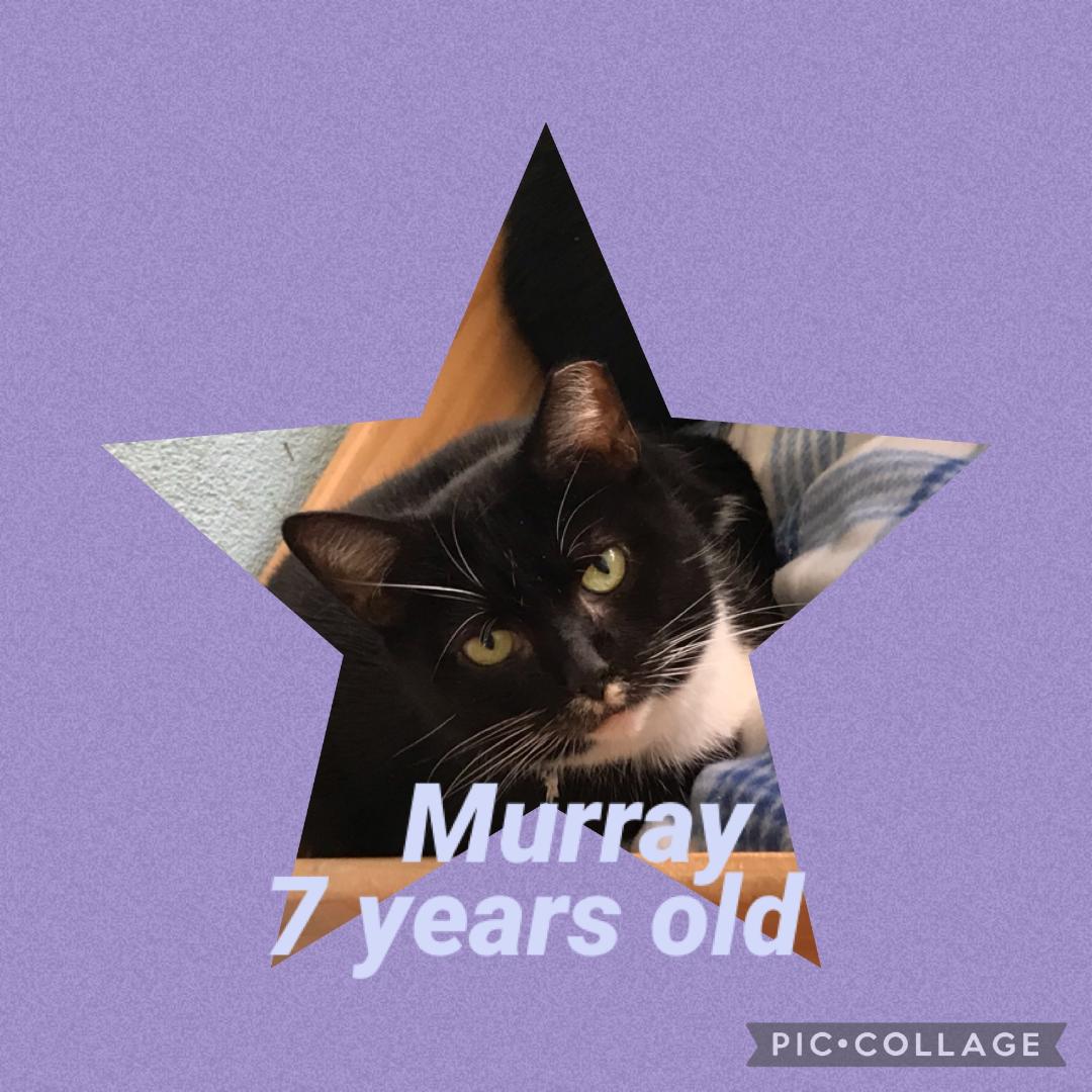 Murray