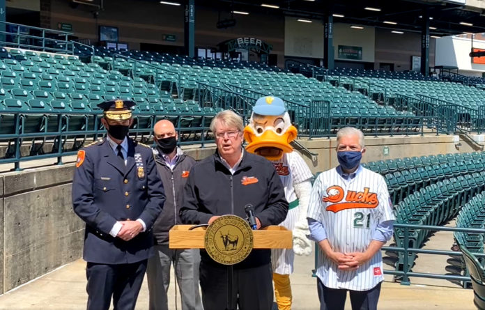 ducks2 long island ducks