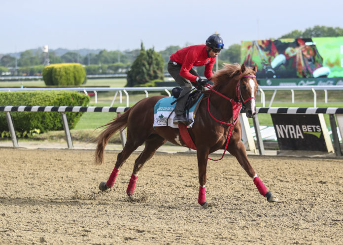 Horse Racing: Belmont-Workouts belmont stakes