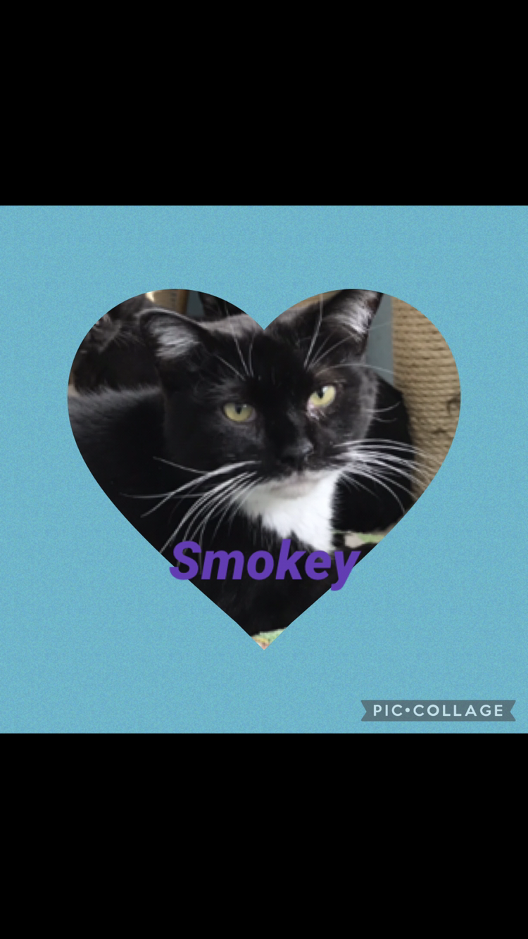 Smokey