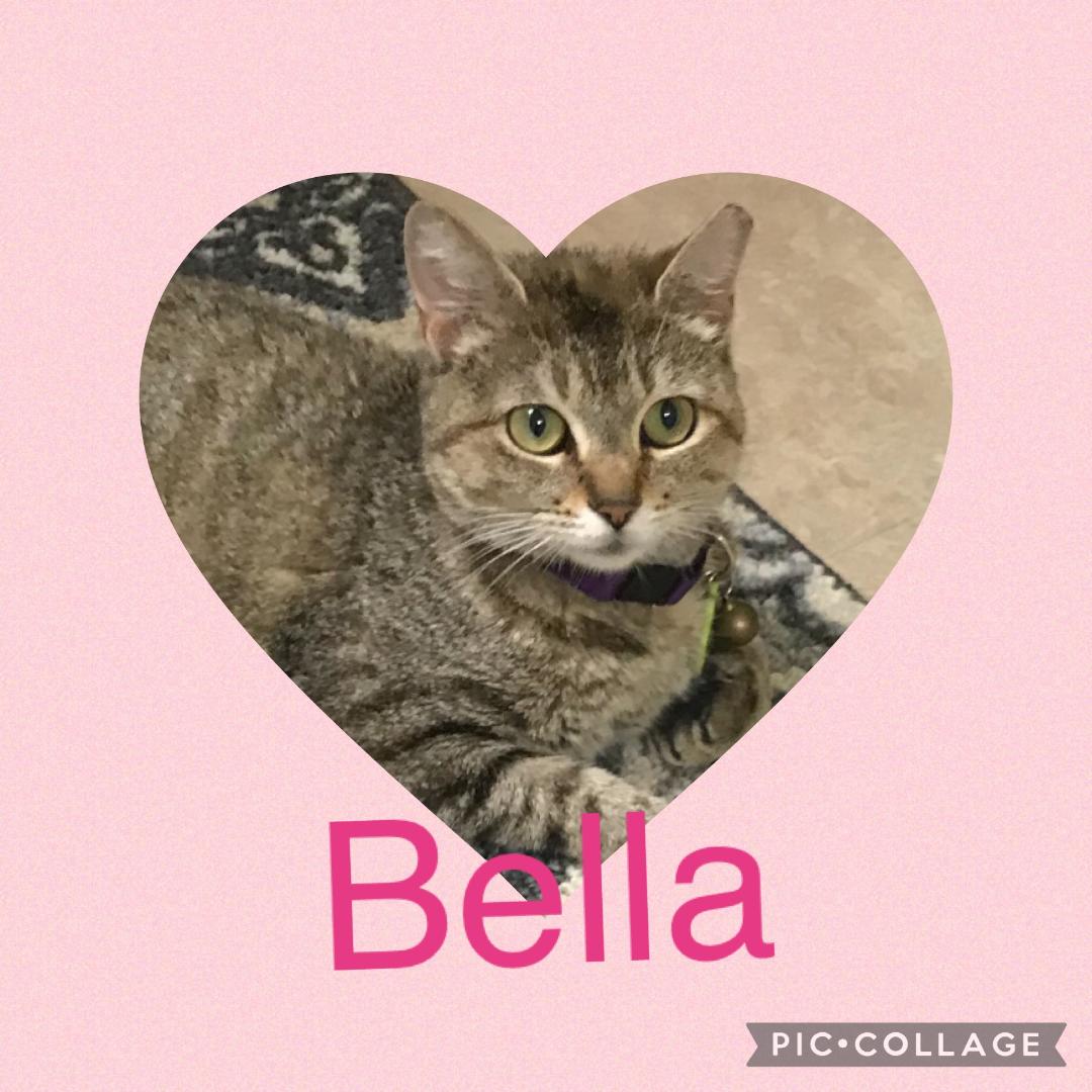 Bella