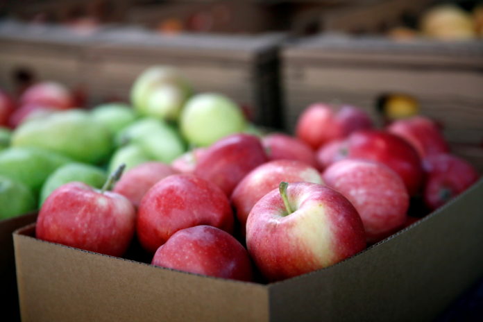 FILE PHOTO: Gala apples are for sale at the B&B Fruit Stand in East Wenatchee food