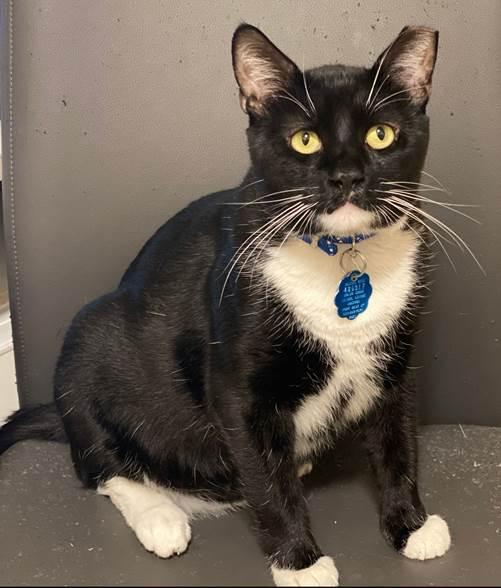 anyconv.com gary pepper