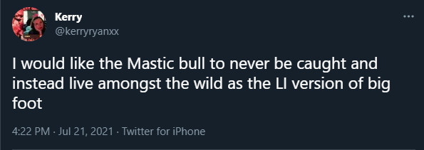 bulltweet